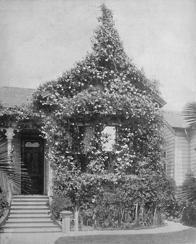 加利福尼亚州洛杉矶市南泉街的玫瑰小屋，建于1897年。 作者 不明