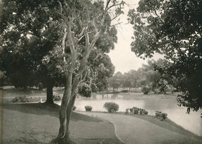 仰光皇家湖，1900年。 作者 不明