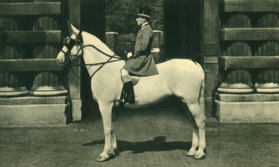 1950年代，在猩红色酒厂中的皇家骑兵。 作者 不明