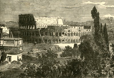 罗马竞技场的废墟，来自帕拉丁，1890年。 作者 不明