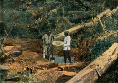 圣埃利亚斯。 Battee LOr Search，《淘金》，1900年。 作者 不明