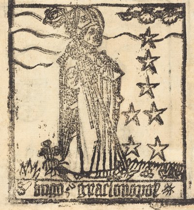 格勒诺布尔的圣-雨果，可能是14601480。 作者 不明