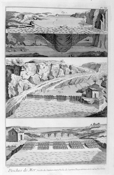 鲑鱼捕捞，1751-1777年 作者 不明