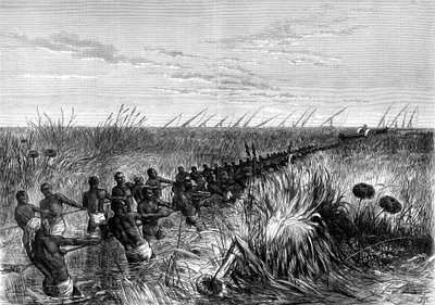 塞缪尔·贝克斯（Samuel Bakers）的船拖过河草，1864年-1874年 作者 不明