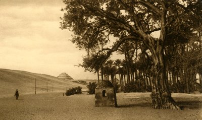 塞加拉（Saqqara）-从西科莫（Sycomore）看的阶梯金字塔，c1918-c1939。 作者 不明