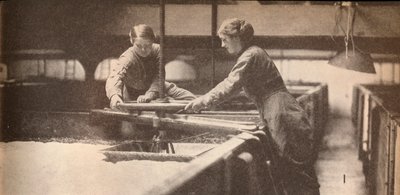 1935年，在特伦特河畔柏顿啤酒厂酿制酵母 作者 不明