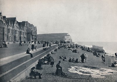 西福德-阅兵式，1895年 作者 不明