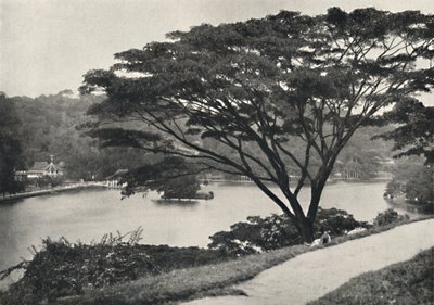 从维多利亚大道向东看，湖，康提神殿和图书馆在康提，192 作者 不明