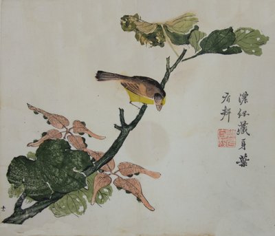 种子和Aleurites Cordata ：页面来自《芥子园手册》......，1782年第二版。 作者 不明