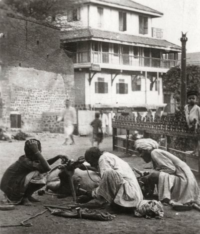 India牛，印度，c1927-c1929 作者 不明