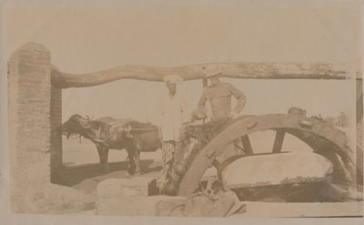 锡亚尔科特（Sialkot），19世纪末-20世纪初。 作者 不明