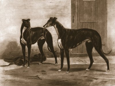 西蒙尼安（Simoniian）和富乐顿（Fullerton），c1891，1911年。 作者 不明