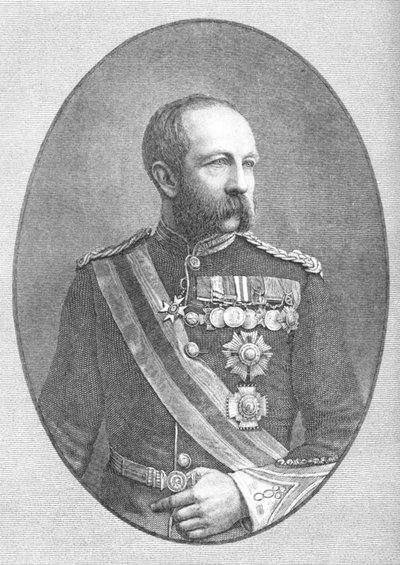 伊夫林·伍德爵士，c1882-85 作者 Unbekannt