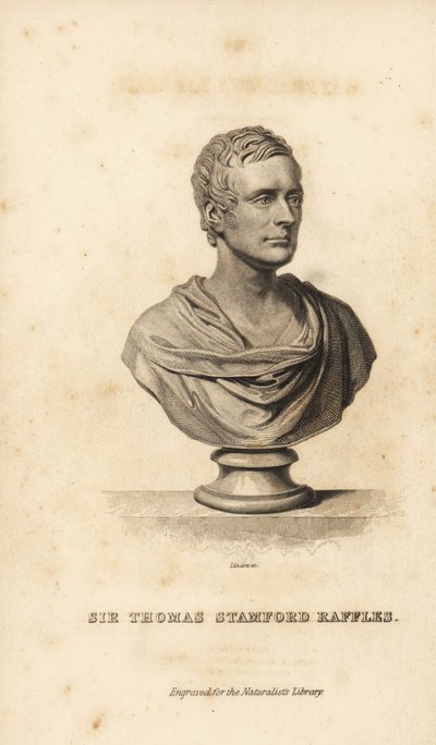 Sir Thomas Stanford Raffles, British statesman, writer and naturalist 作者 不明