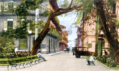 1900年，巴拿马城第六街 作者 不明