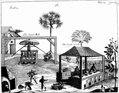 1725年，西印度群岛一家糖园的奴隶工 作者 不明