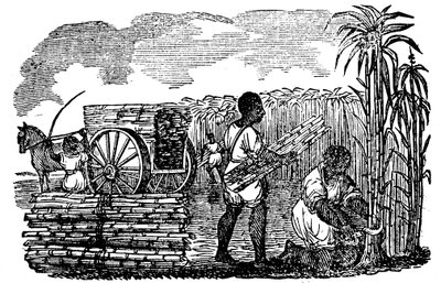 路易斯安那州收获甘蔗的奴隶，1833年 作者 不明