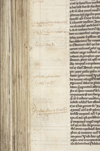 河马圣奥古斯丁《歌剧》，Fol 243 反面，细节，约 1200 年（羊皮纸上的钢笔墨水） 作者 不明