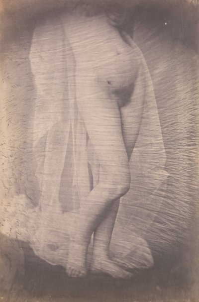 [站立的女性裸体]，约1856年。 作者 不明