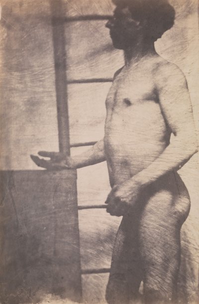 [站立的男性裸体]，约1856年。 作者 不明