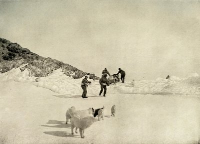 西方政党始于罗伊德角（Cape Royds），c1908，1909年。 作者 不明
