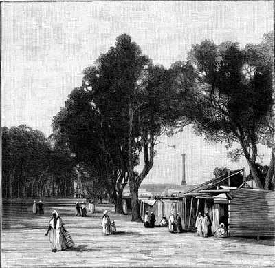 庞贝斯支柱在远处，埃及亚历山大，1900年的街景 作者 不明