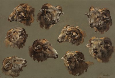 1700年代对Ram Heads的研究。 作者 不明