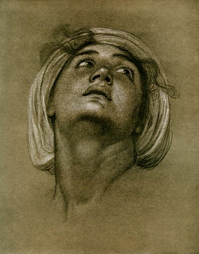 头部研究，1901年 作者 不明