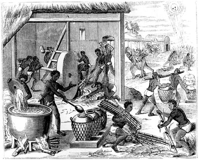 制糖，1873年 作者 不明