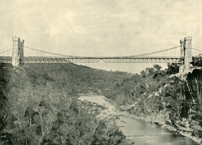 1901年，北悉尼吊桥。 作者 不明