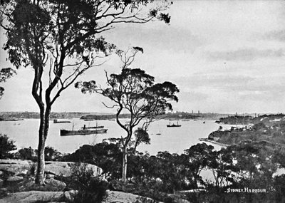 悉尼海港（Cymorne Point），摄于1900年。 作者 不明