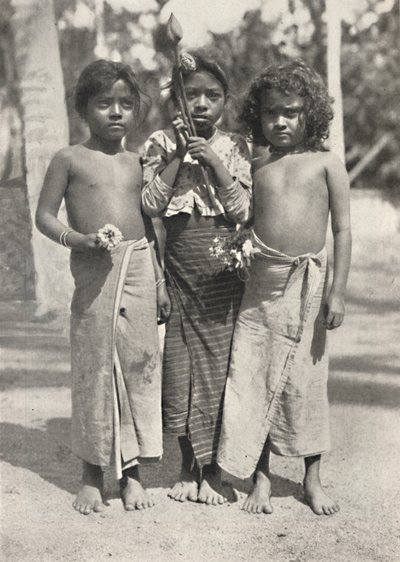 塔穆伦克德（Tamulenkinder），1926年 作者 不明