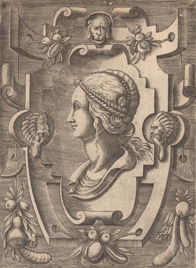 各种任性的发明的版画和其他装饰品 卡特罗什和其他装饰品，1773年。 作者 不明