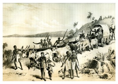 1883年，到达恩加米湖的到来 作者 不明