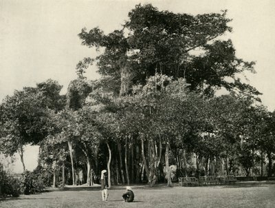 1870年，Barrackpore的悦榕庄，1925年。 作者 不明