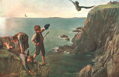 设于设得兰群岛的Bonxie，1873年，出版于c1902。 作者 不明