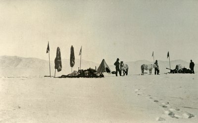 1909年11月，经过先前最遥远的南纬地区后的营地 作者 不明