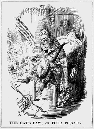 猫爪：或可怜的普西岛，1850年 作者 不明