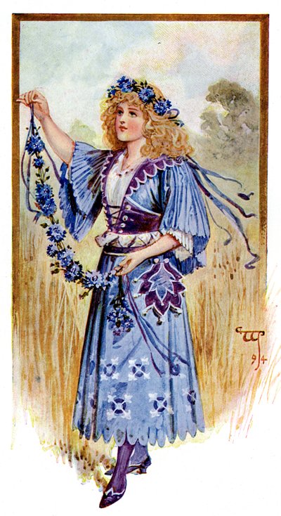 矢车菊，1899年 作者 不明
