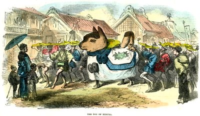 日本姬村犬，1872年 作者 不明