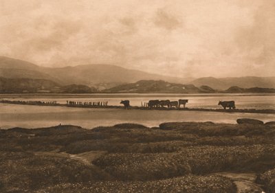 1902年在伊尼斯拉斯的道维 作者 不明