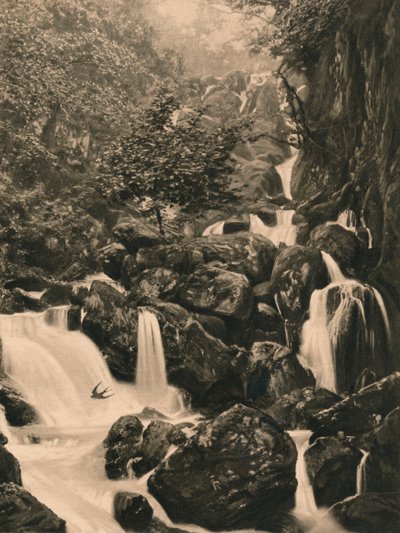 罗多雷瀑布，1902年 作者 不明