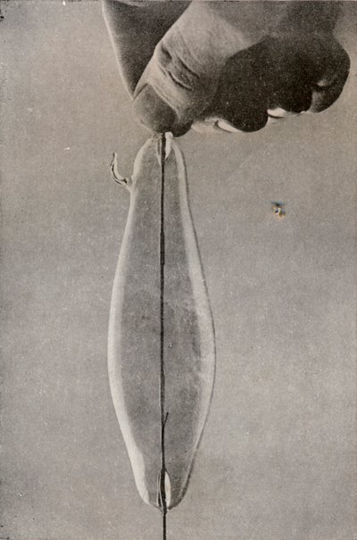 第一个白炽灯，c1916 作者 不明