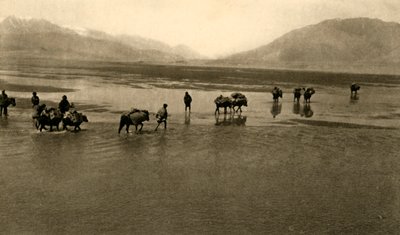 珠穆朗玛峰全景（c1918-c1939）。 作者 不明