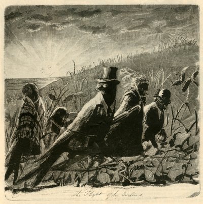 燕子飞行，1882年。 作者 不明