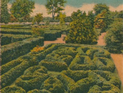 花卉园全景，1946年 作者 不明