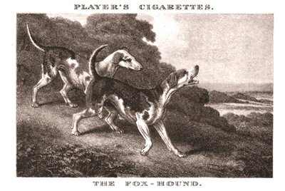 猎狐犬，1924年。 作者 不明