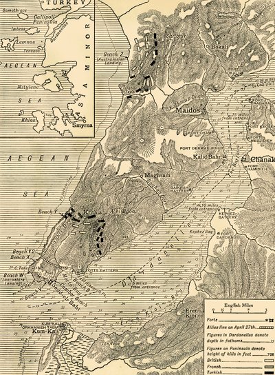 加里波利运动，第一次世界大战，1915年，c1920。 作者 不明