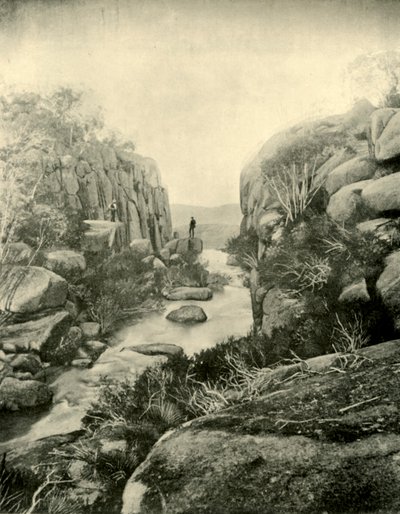 1901年，维多利亚州阿尔卑斯山的布法罗瀑布峡谷。 作者 不明