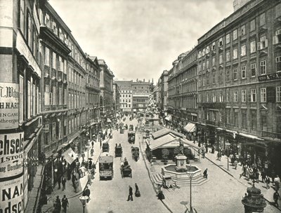 格拉本（Graben），奥地利维也纳，1895年。 作者 Unbekannt